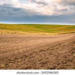 如何在sbobet888casino上获得更高的胜率与收益 h79n6qhne