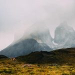 如何在winbet娱乐城ptt中获得更高的游戏胜率 mlnd152c1