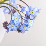 如何在365博彩娱乐中提高胜率与盈利技巧 so06r6589