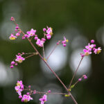 18108期开奖结果揭晓:幸运号码震撼公布 21na17k