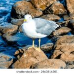 180917开奖结果揭晓,幸运号码震撼公布 24tyc