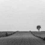 18092期体育彩票开奖结果公告与中奖号码查询 5rbex