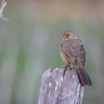 18115期体育彩票开奖结果最新公布 7guw1hv6zv