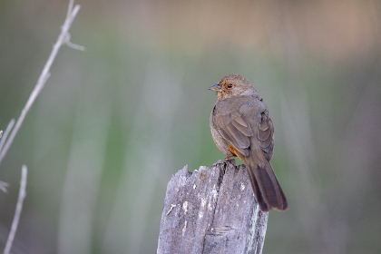 18115期体育彩票开奖结果最新公布 18115期体育彩票开奖结果最新公布