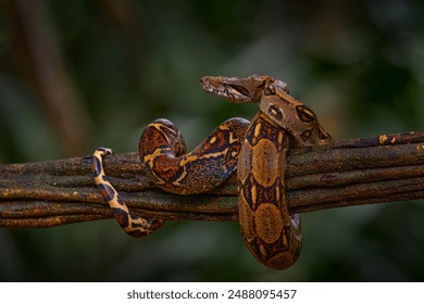 3d300期历史开奖号码完整走势图汇总 3d300期历史开奖号码完整走势图汇总