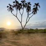 18080期足彩开奖结果公布,奖金金额令人惊喜 q8k4o