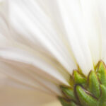 3d94期开奖号最新公布结果与详细中奖信息 utlai6vw