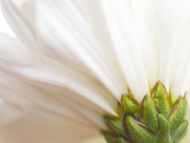 3d94期开奖号最新公布结果与详细中奖信息 3d94期开奖号最新公布结果与详细中奖信息