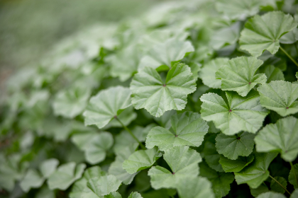 3d84期开奖结果最新公布,快来看看你中奖了吗? 3d84期开奖结果最新公布,快来看看你中奖了吗?