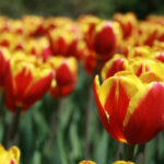 18096期开奖结果最新公布,快来看看你中奖了吗? zrf49vj88c